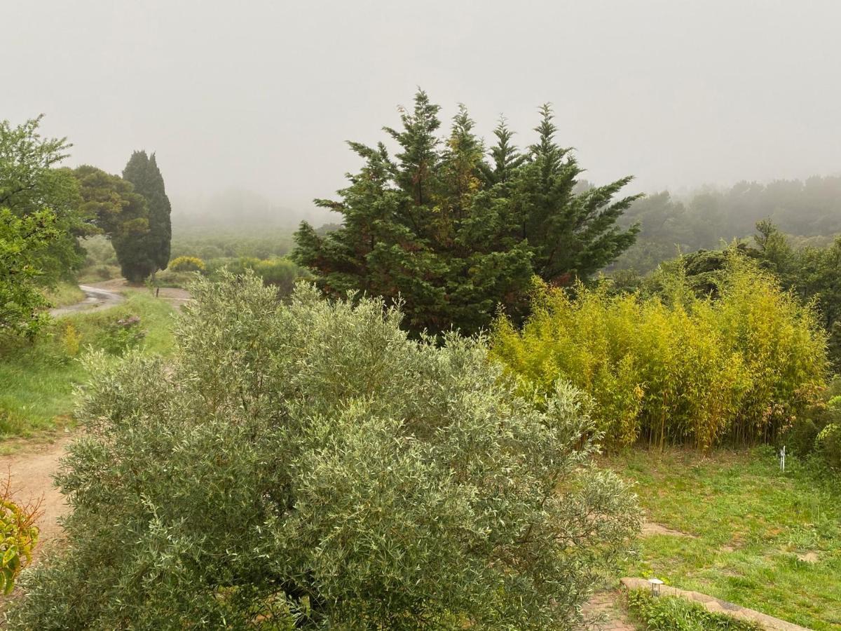 Bed and Breakfast Mas Des Tournevents Лезиньян-Корбьер Экстерьер фото