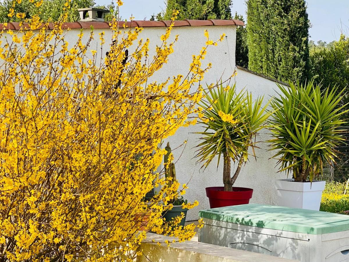 Bed and Breakfast Mas Des Tournevents Лезиньян-Корбьер Экстерьер фото